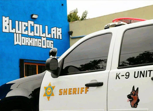 Blue Collar Working Dog